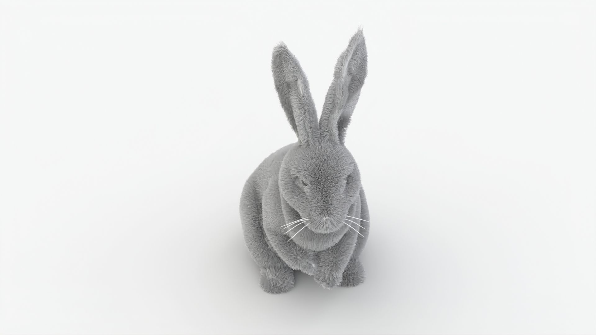Dirty Rigged Rabbit with XGEN fur for MAYA Arnold Low-poly 3D model_7
