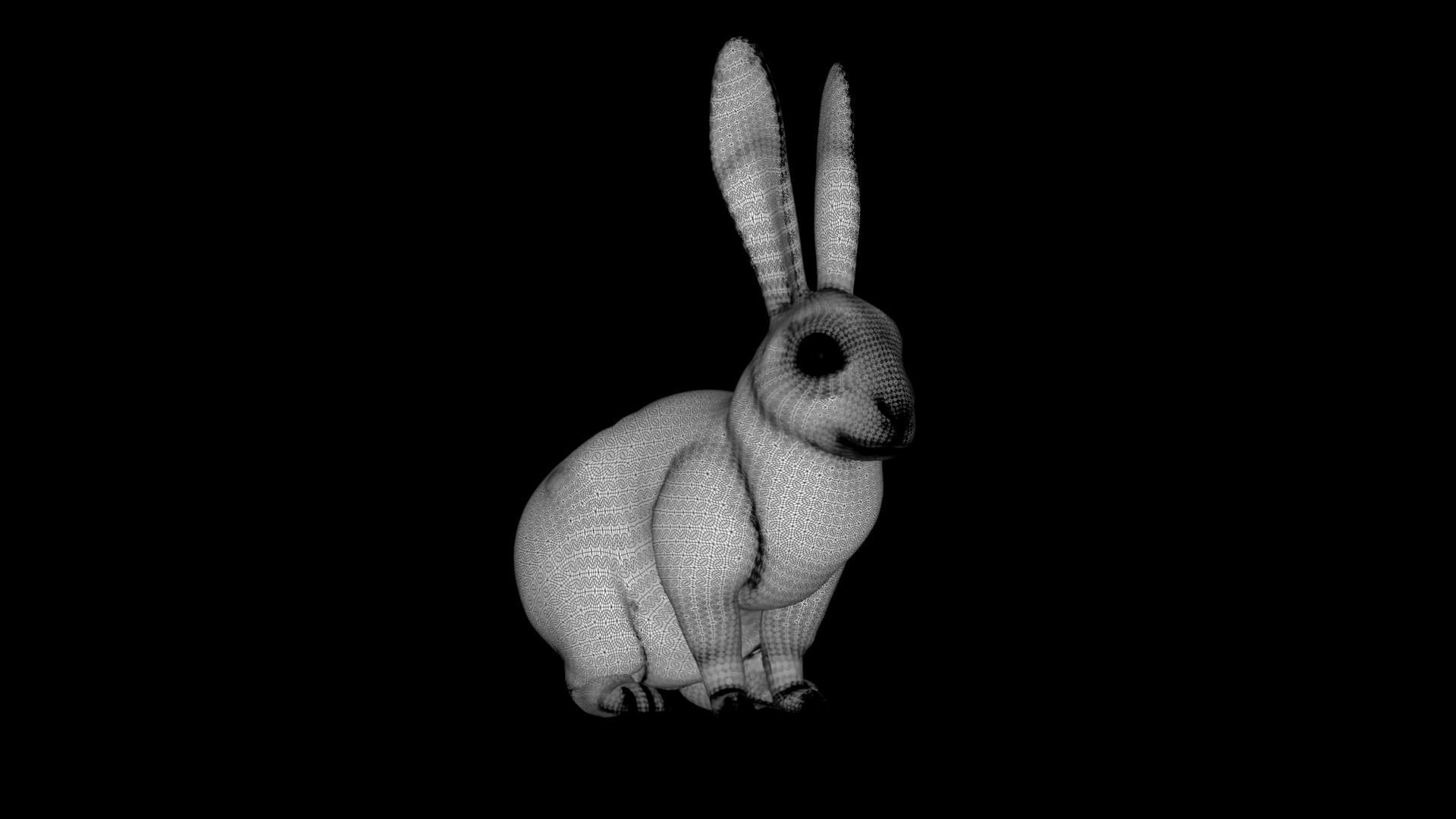 Dirty Rigged Rabbit with XGEN fur for MAYA Arnold Low-poly 3D model_8