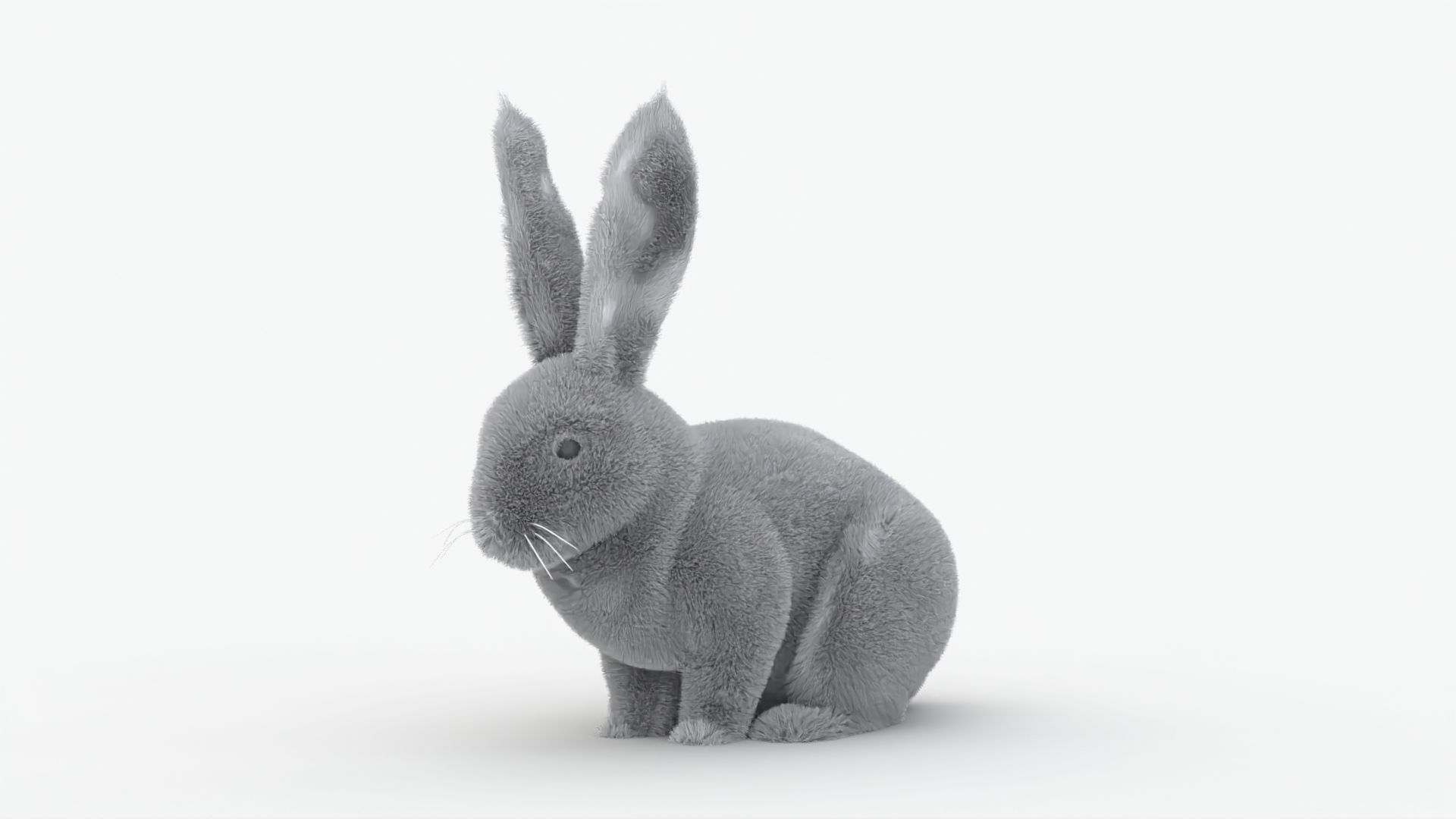 Dirty Rigged Rabbit with XGEN fur for MAYA Arnold Low-poly 3D model_2