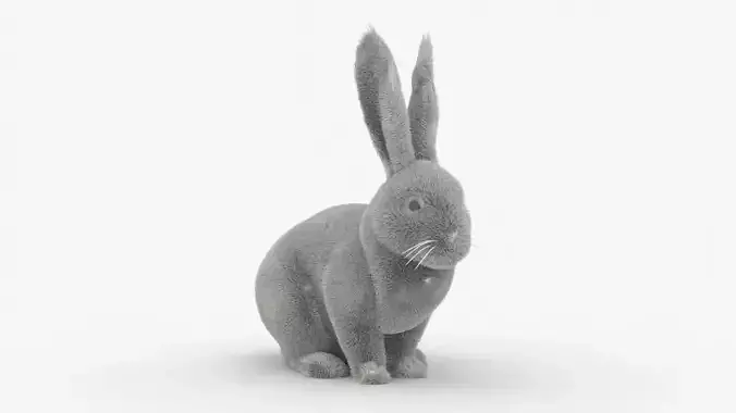 Dirty Rigged Rabbit with XGEN fur for MAYA Arnold Low-poly 3D model
