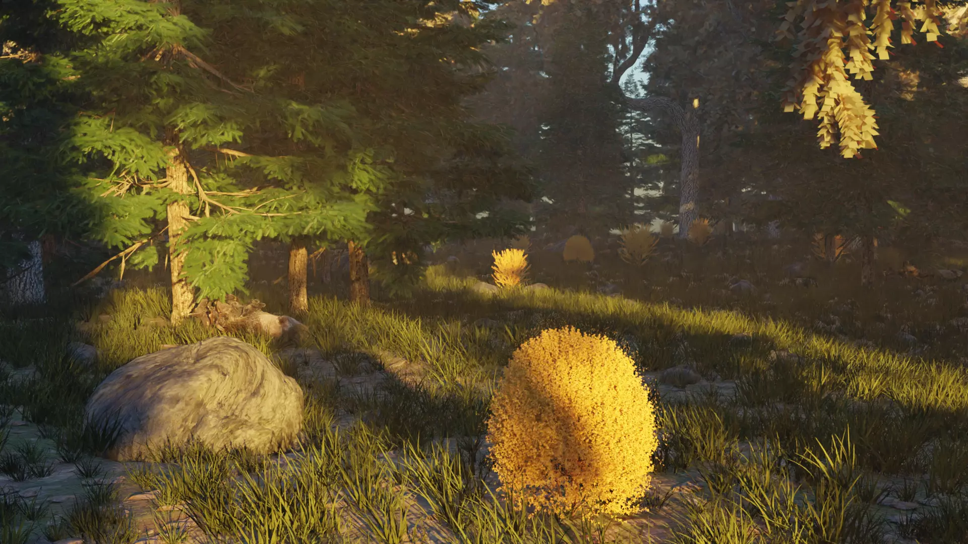 Autumn forest 3D model