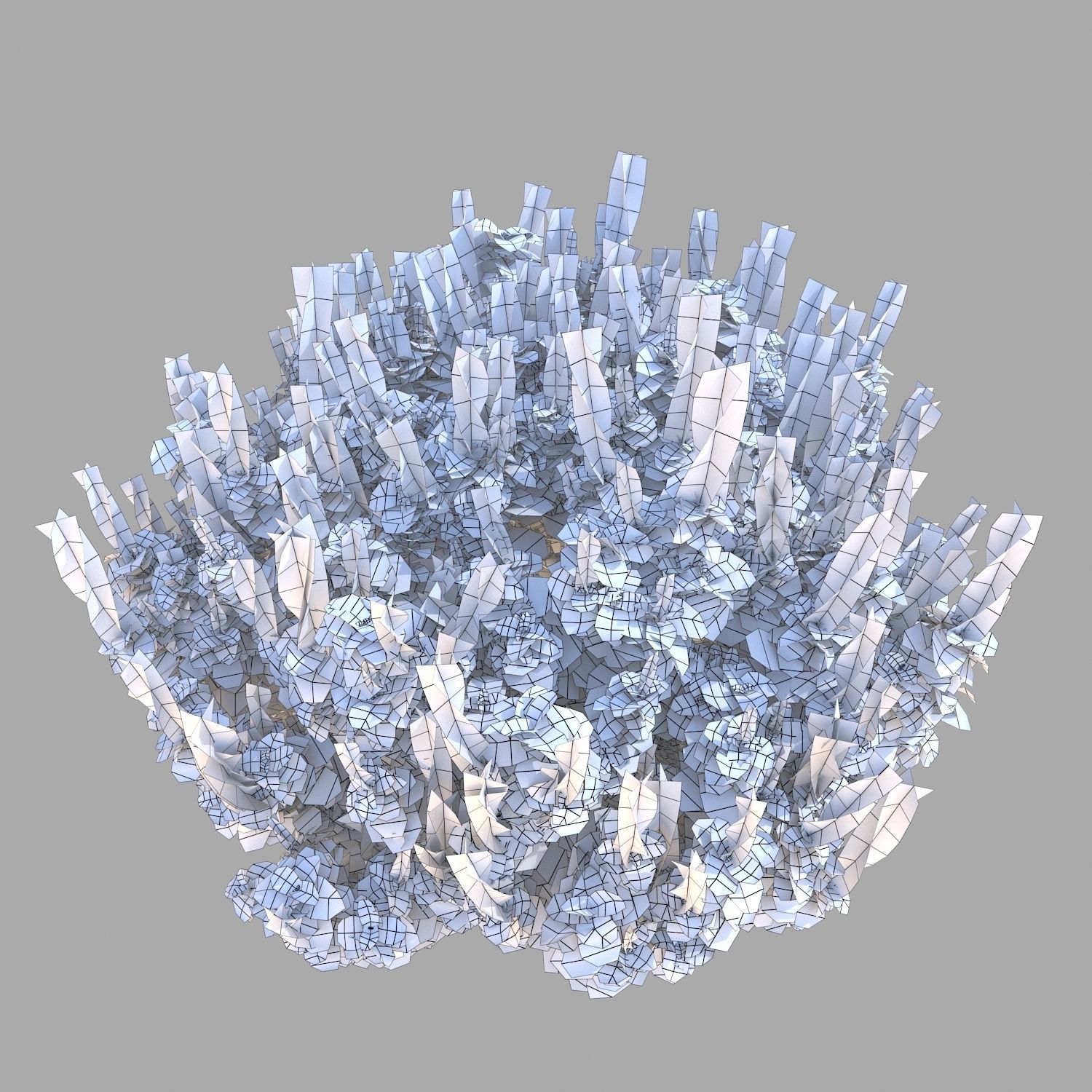 Plectranthus Scutellarioides Bush with flower 3D model_5