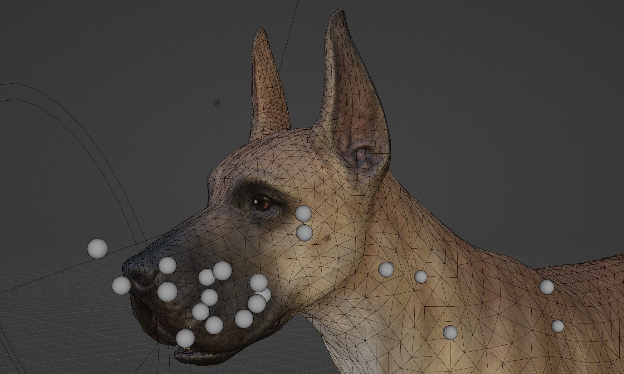 DOG - GREAT DANE  Low-poly 3D model_2