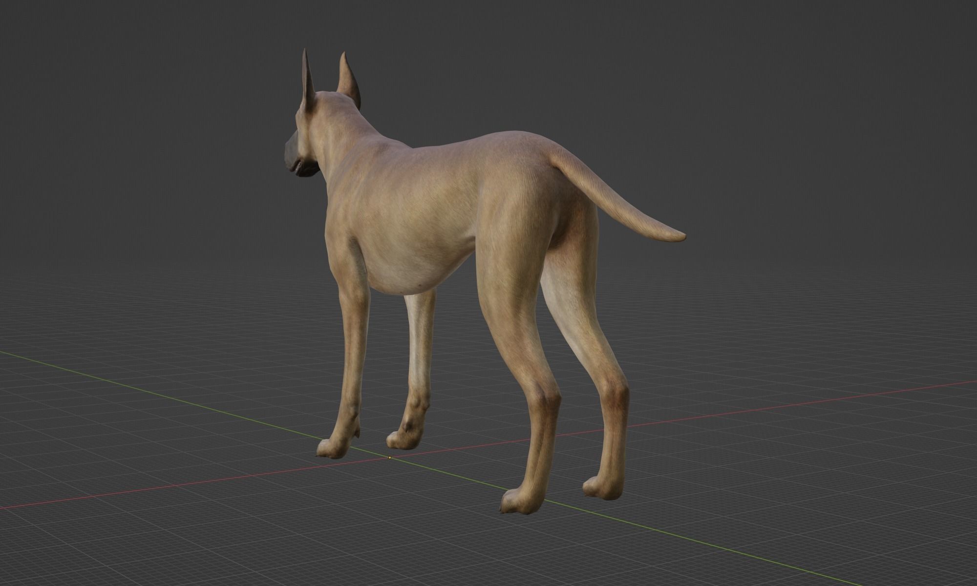 DOG - GREAT DANE  Low-poly 3D model_8