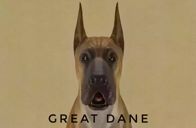 DOG - GREAT DANE  Low-poly 3D model
