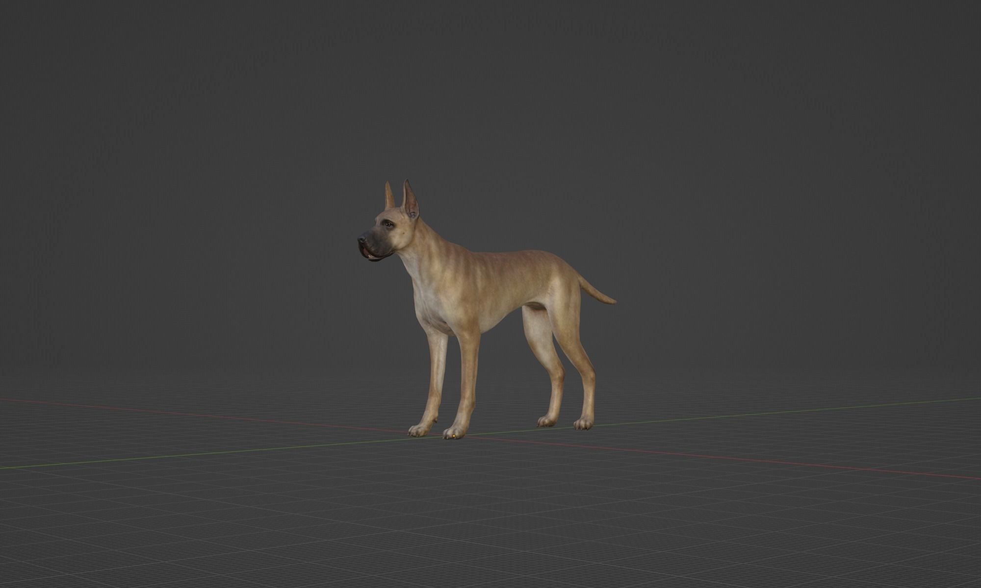 DOG - GREAT DANE  Low-poly 3D model_15