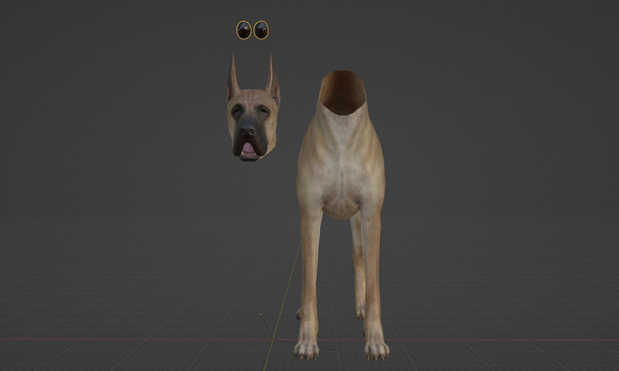 DOG - GREAT DANE  Low-poly 3D model_16