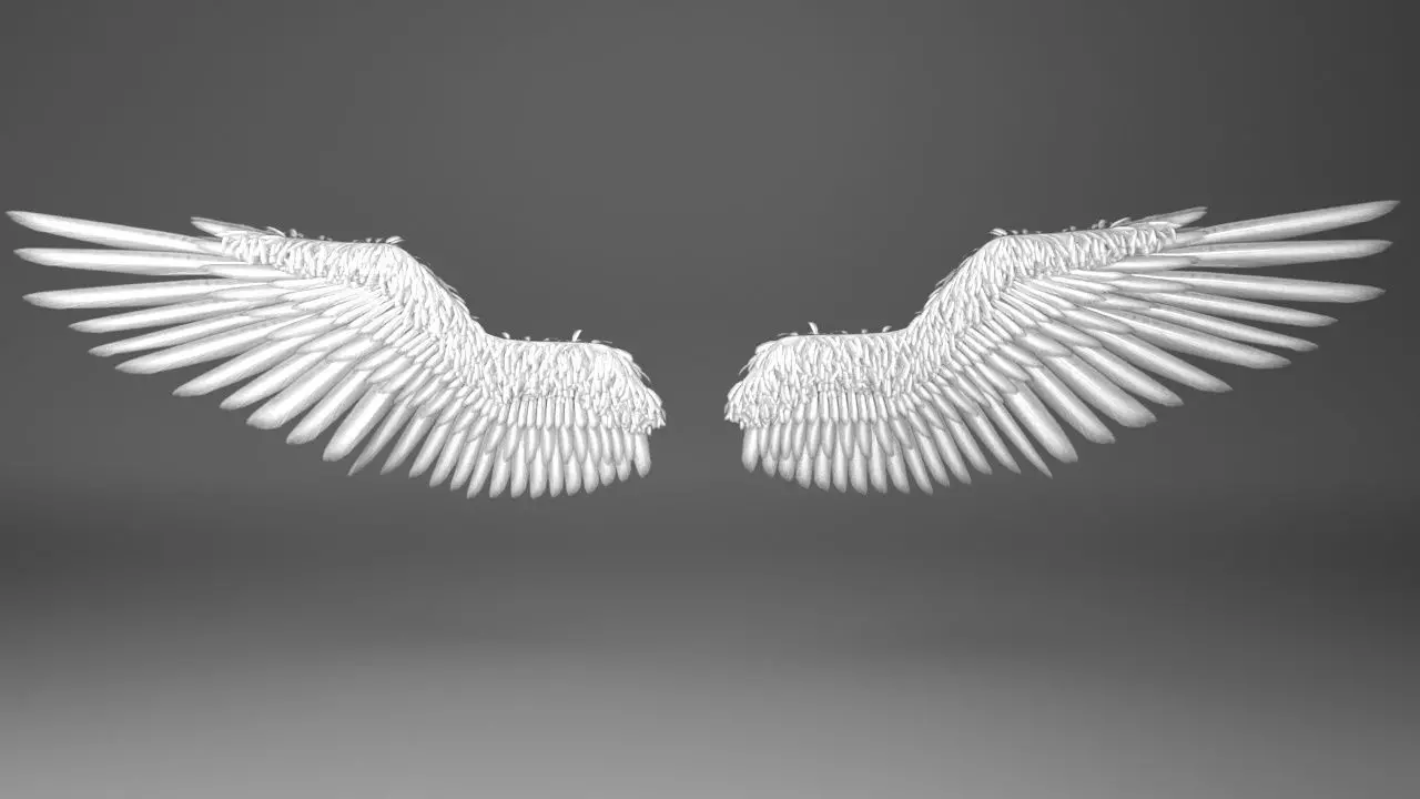 Angel Wings 3D model_0