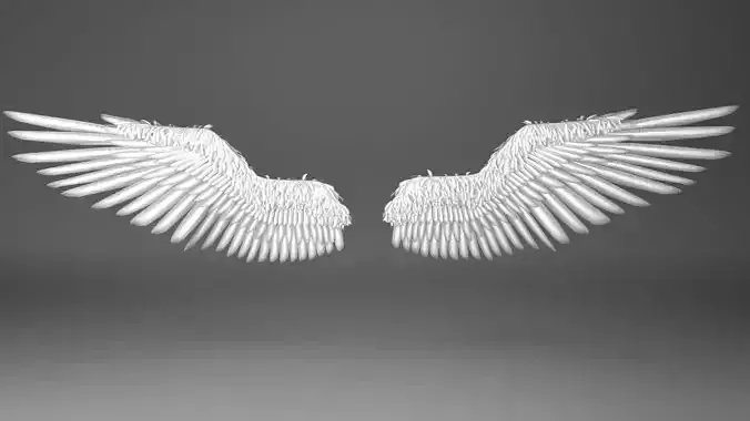 Angel Wings 3D model