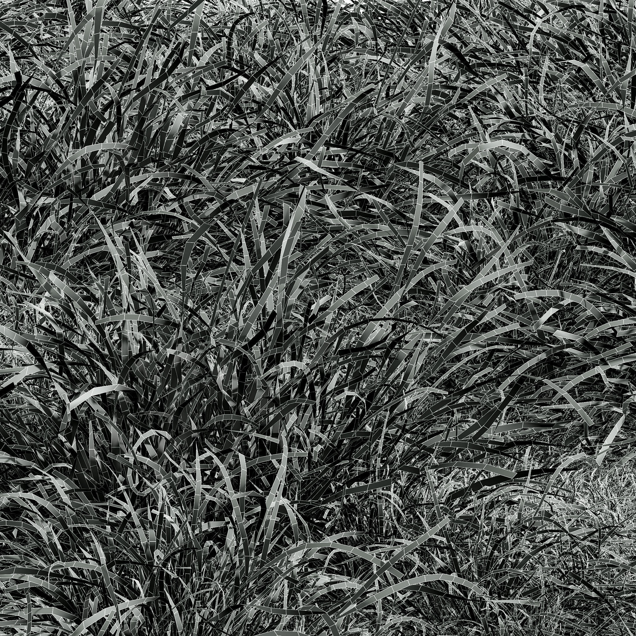 HQ Plants Stipa arundinacea Anemanthele lessoniana Little 3D model_4