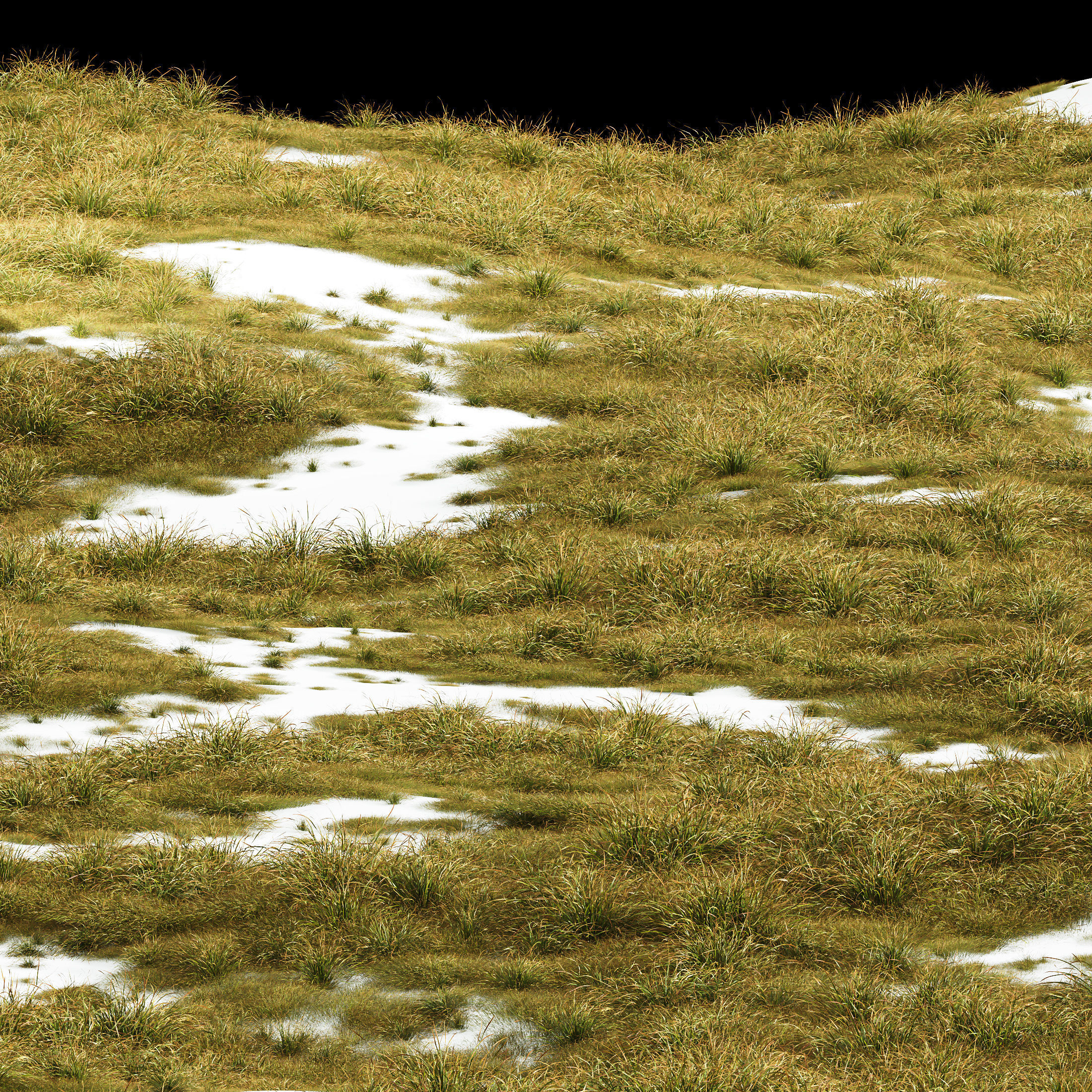 HQ Plants Stipa arundinacea Anemanthele lessoniana Little 3D model_2