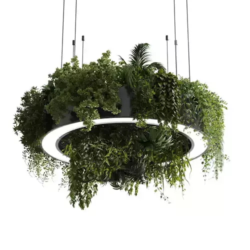 circle pot light pendant - plant light hanging 13