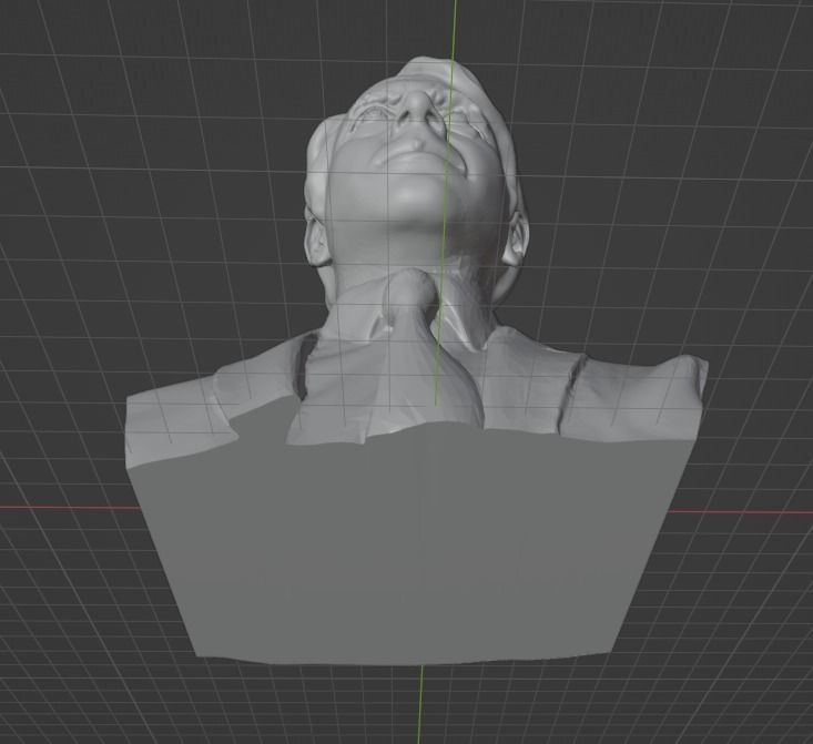 Robert Frost 3D print model_8