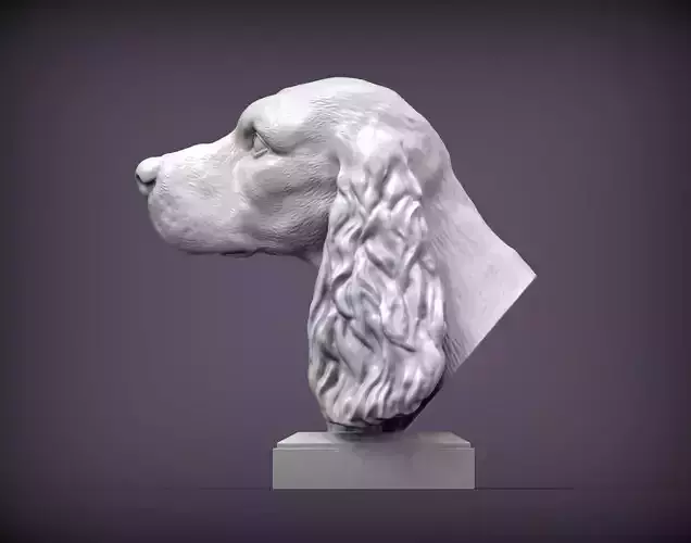 English Cocker Spaniel  3D print model