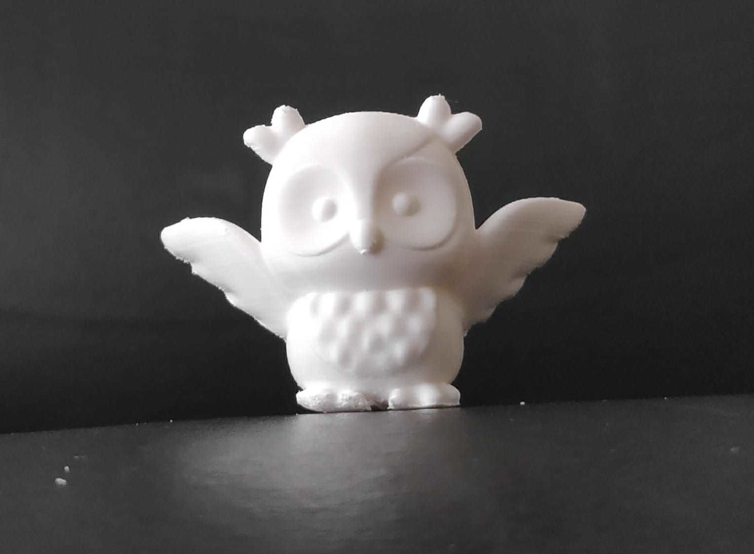 Owl Open Wings 3D print model_13