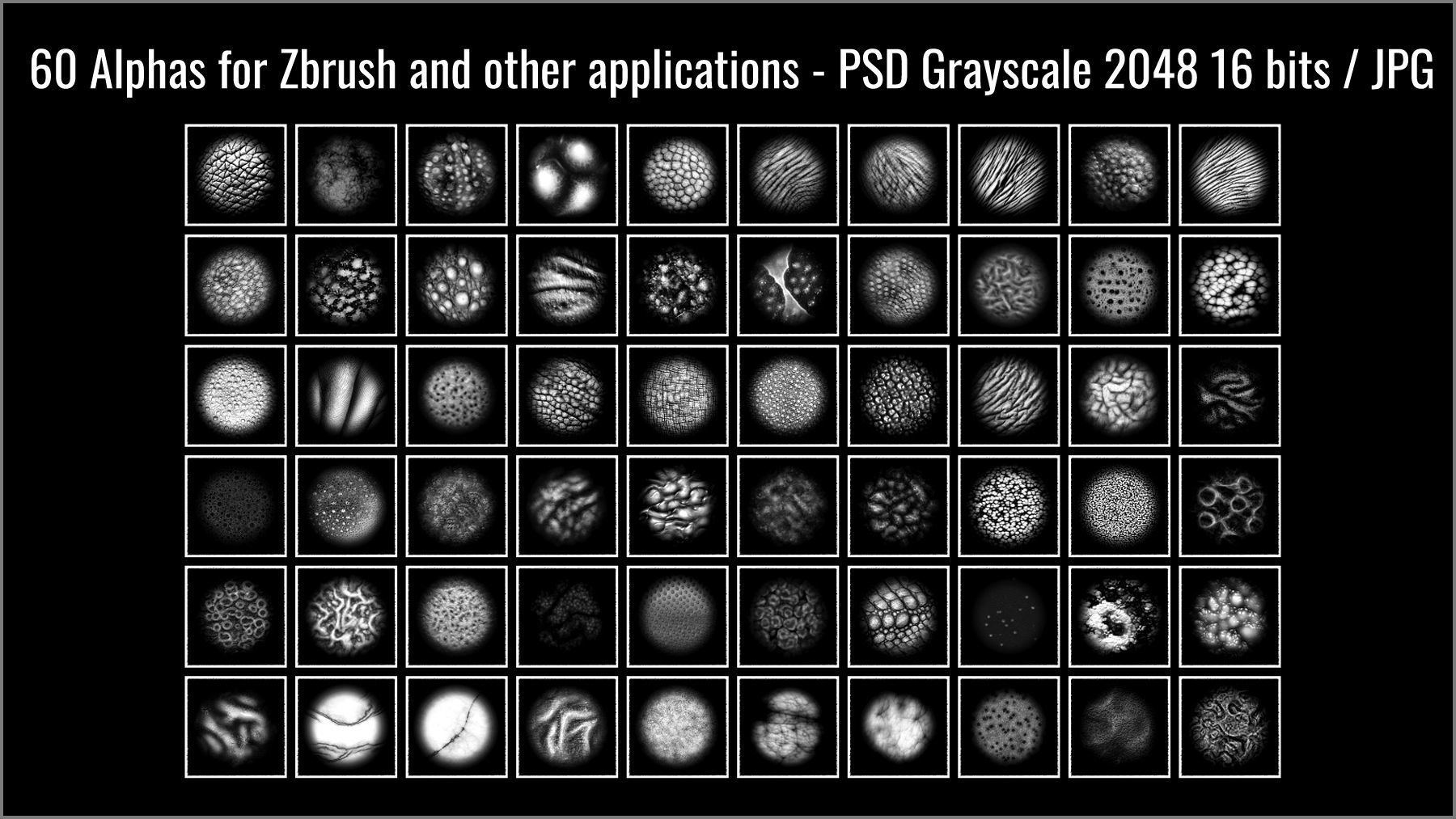 Monster Skin Maker 300 ZBrush Brushes 3D model_13