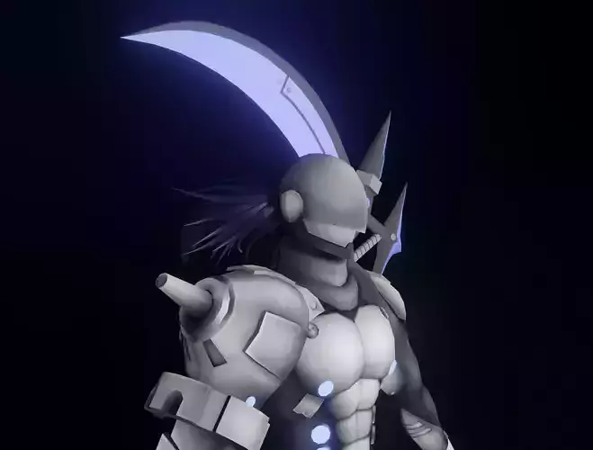 Cyber Slayer 3D model