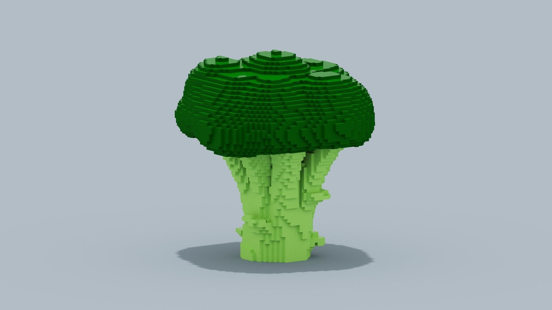 Voxel Broccoli Low-poly 3D model_8