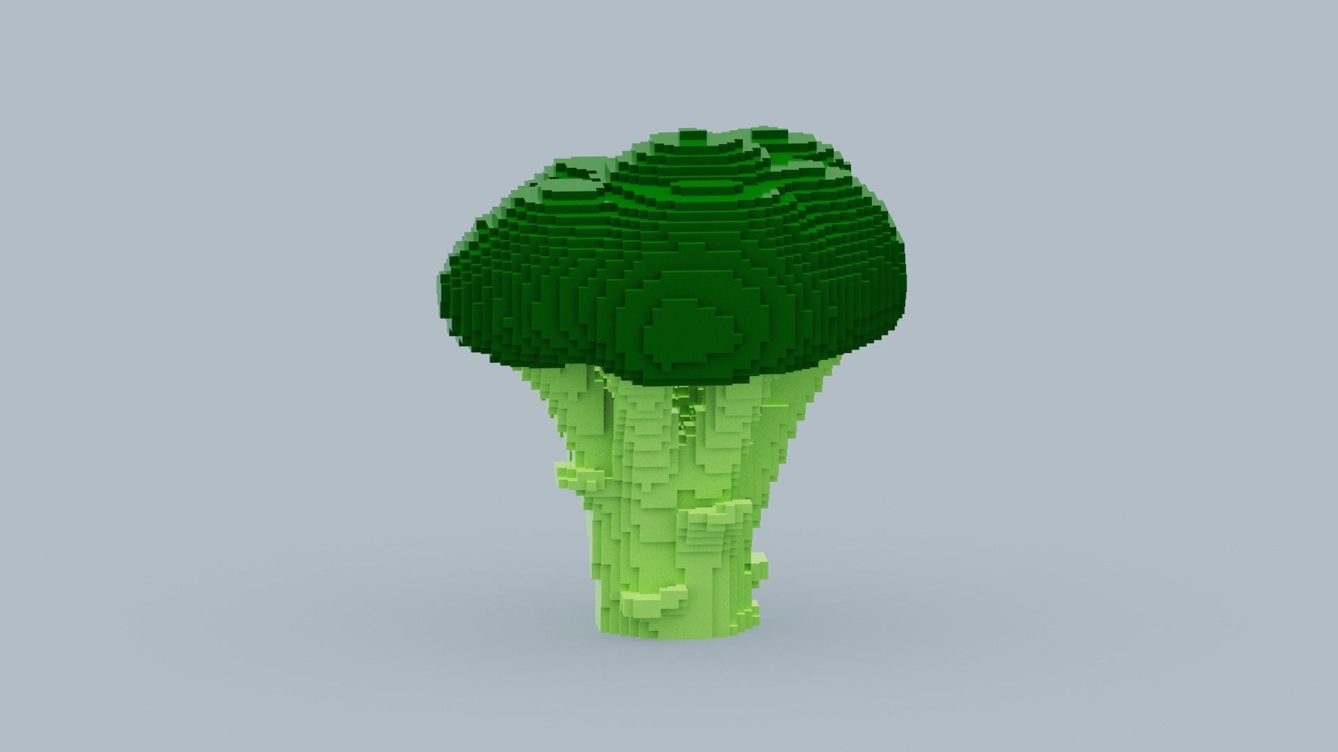 Voxel Broccoli Low-poly 3D model_12