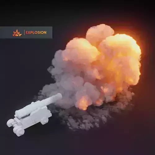 3D Canonfire Animation  3D model
