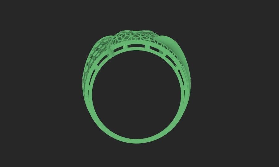 ring fusion 3D print model_3