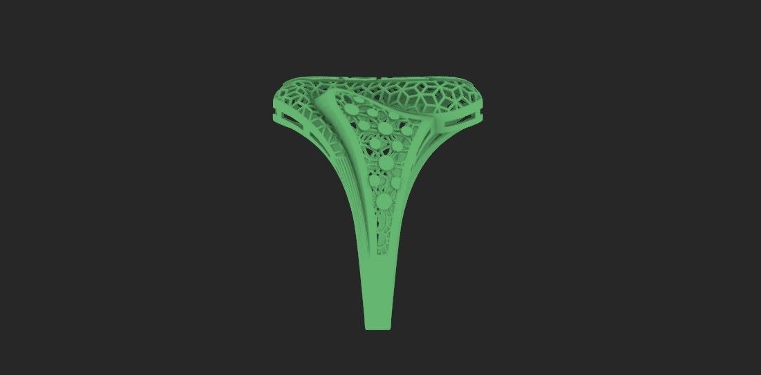 ring fusion 3D print model_4