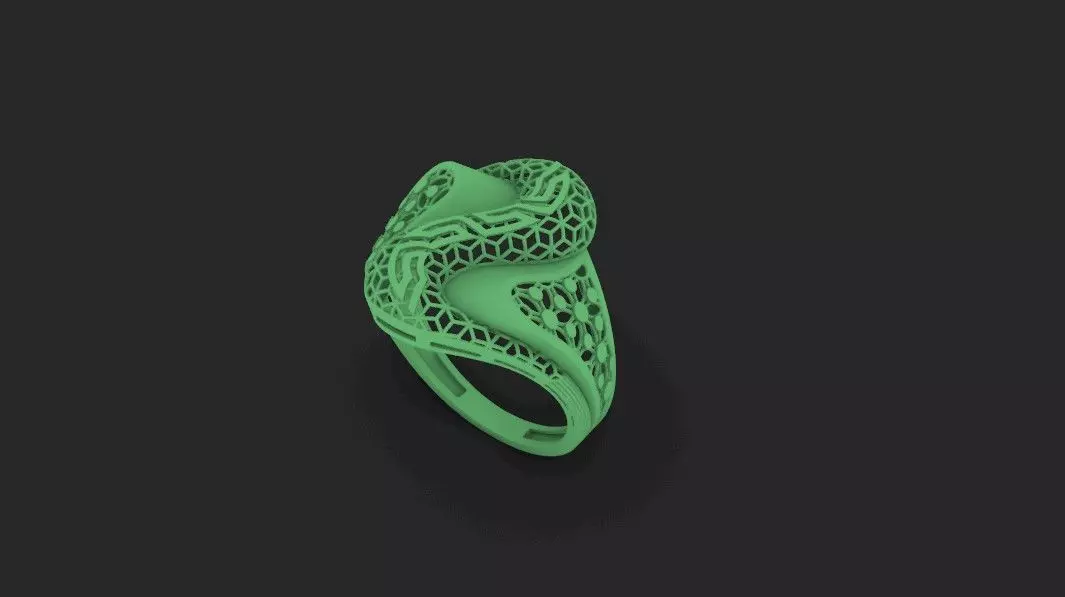 ring fusion 3D print model_0