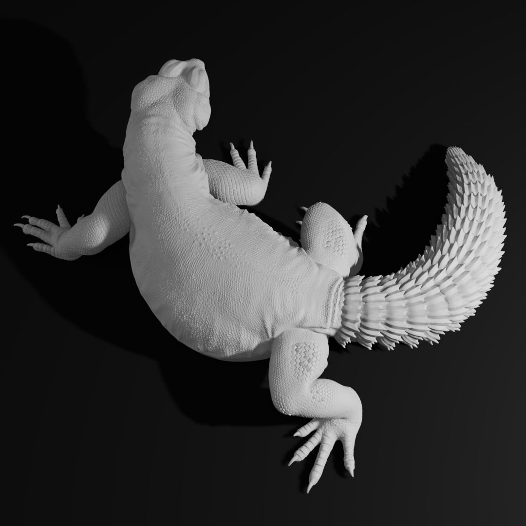 Uromastyx - Spiny Tailed Lizard - Pet Reptile 3d print model 3D print model_2