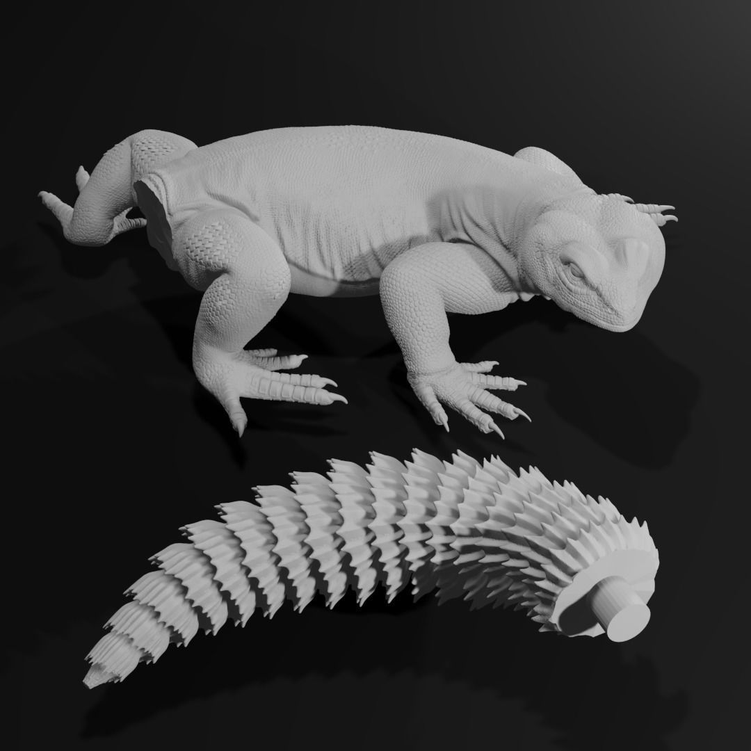 Uromastyx - Spiny Tailed Lizard - Pet Reptile 3d print model 3D print model_6