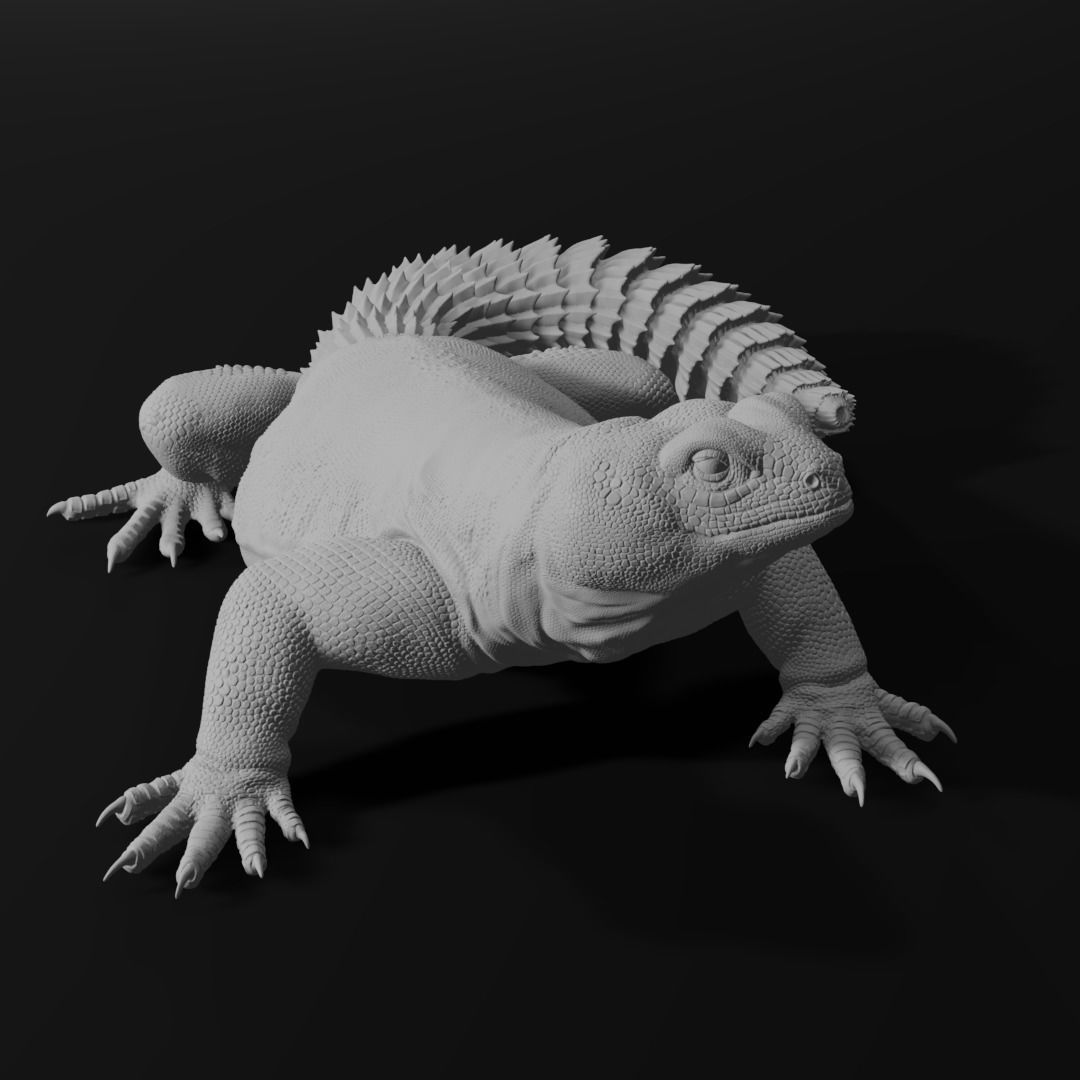 Uromastyx - Spiny Tailed Lizard - Pet Reptile 3d print model 3D print model_8
