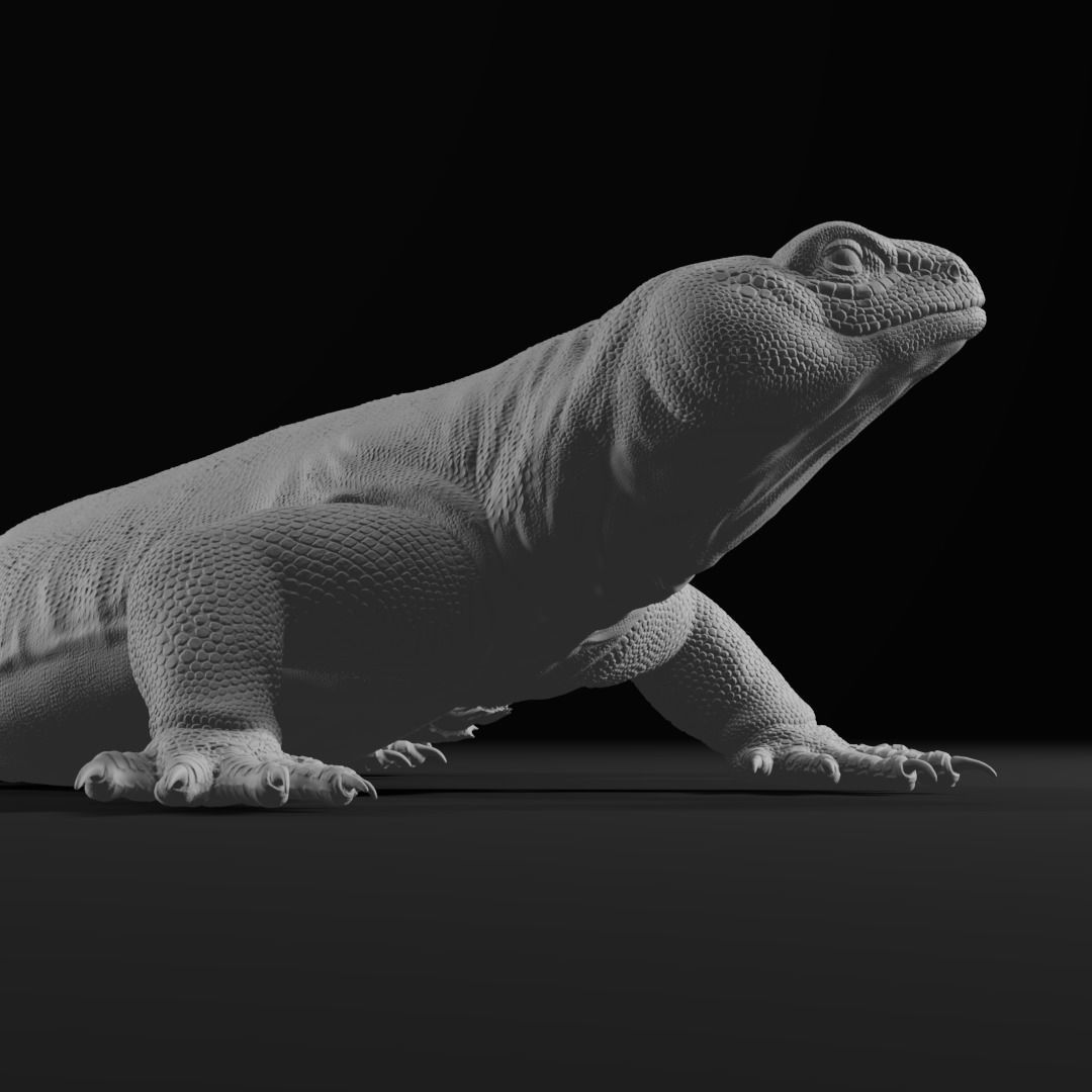Uromastyx - Spiny Tailed Lizard - Pet Reptile 3d print model 3D print model_4