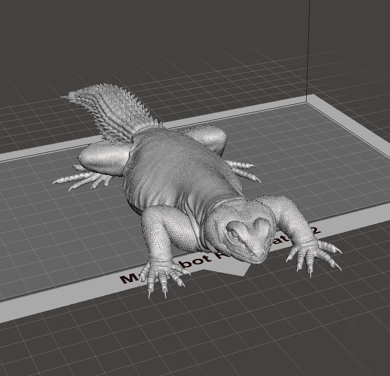 Uromastyx - Spiny Tailed Lizard - Pet Reptile 3d print model 3D print model_15