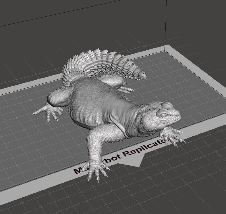 Uromastyx - Spiny Tailed Lizard - Pet Reptile 3d print model 3D print model_13