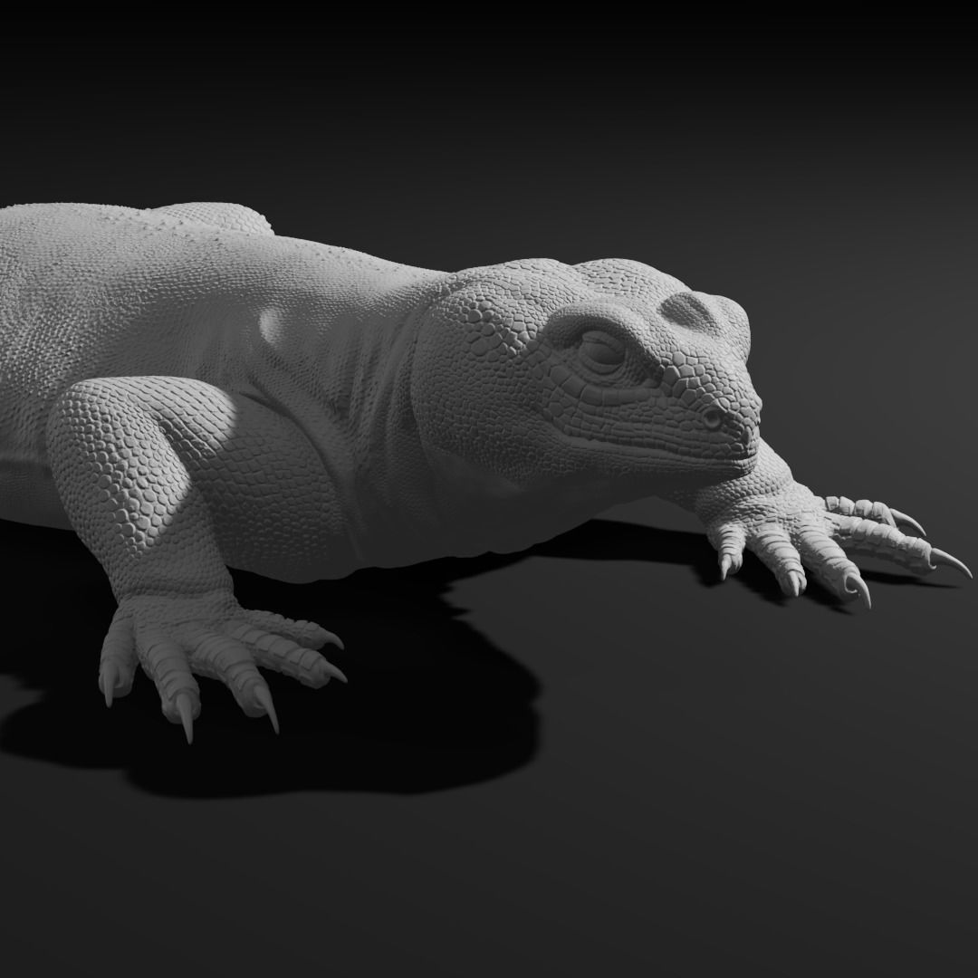 Uromastyx - Spiny Tailed Lizard - Pet Reptile 3d print model 3D print model_11
