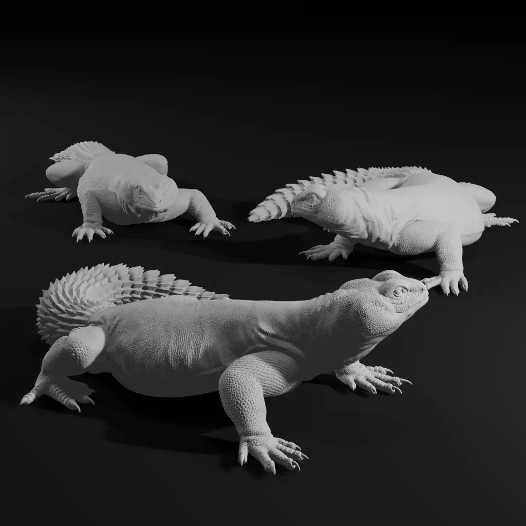 Uromastyx - Spiny Tailed Lizard - Pet Reptile 3d print model 3D print model_0