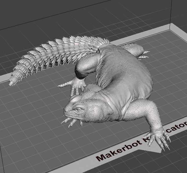 Uromastyx - Spiny Tailed Lizard - Pet Reptile 3d print model 3D print model_14