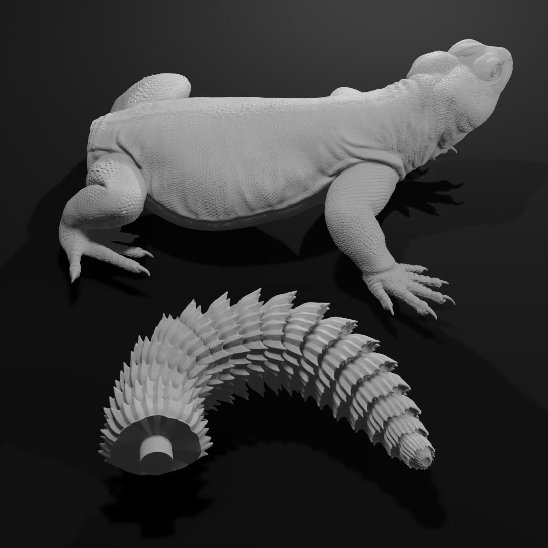 Uromastyx - Spiny Tailed Lizard - Pet Reptile 3d print model 3D print model_5