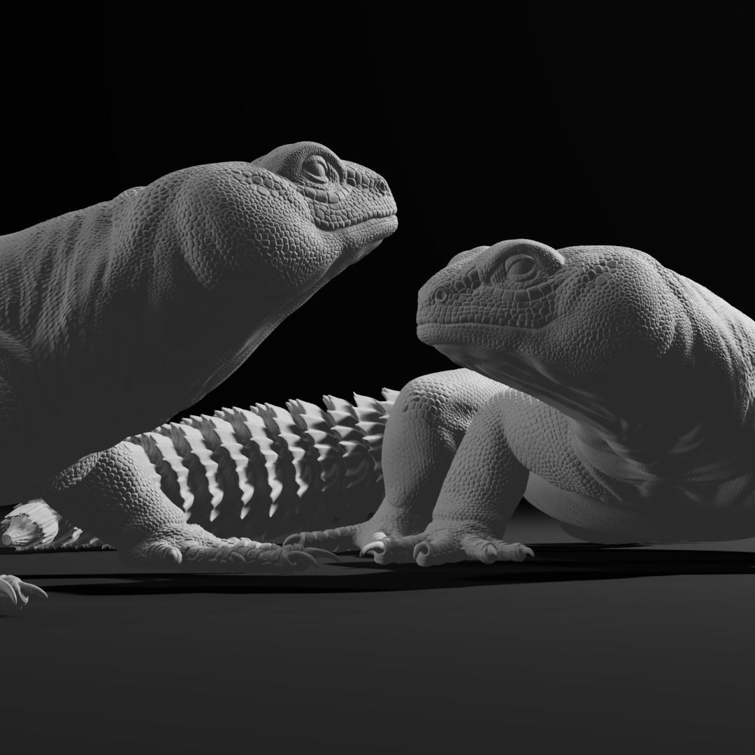 Uromastyx - Spiny Tailed Lizard - Pet Reptile 3d print model 3D print model_1