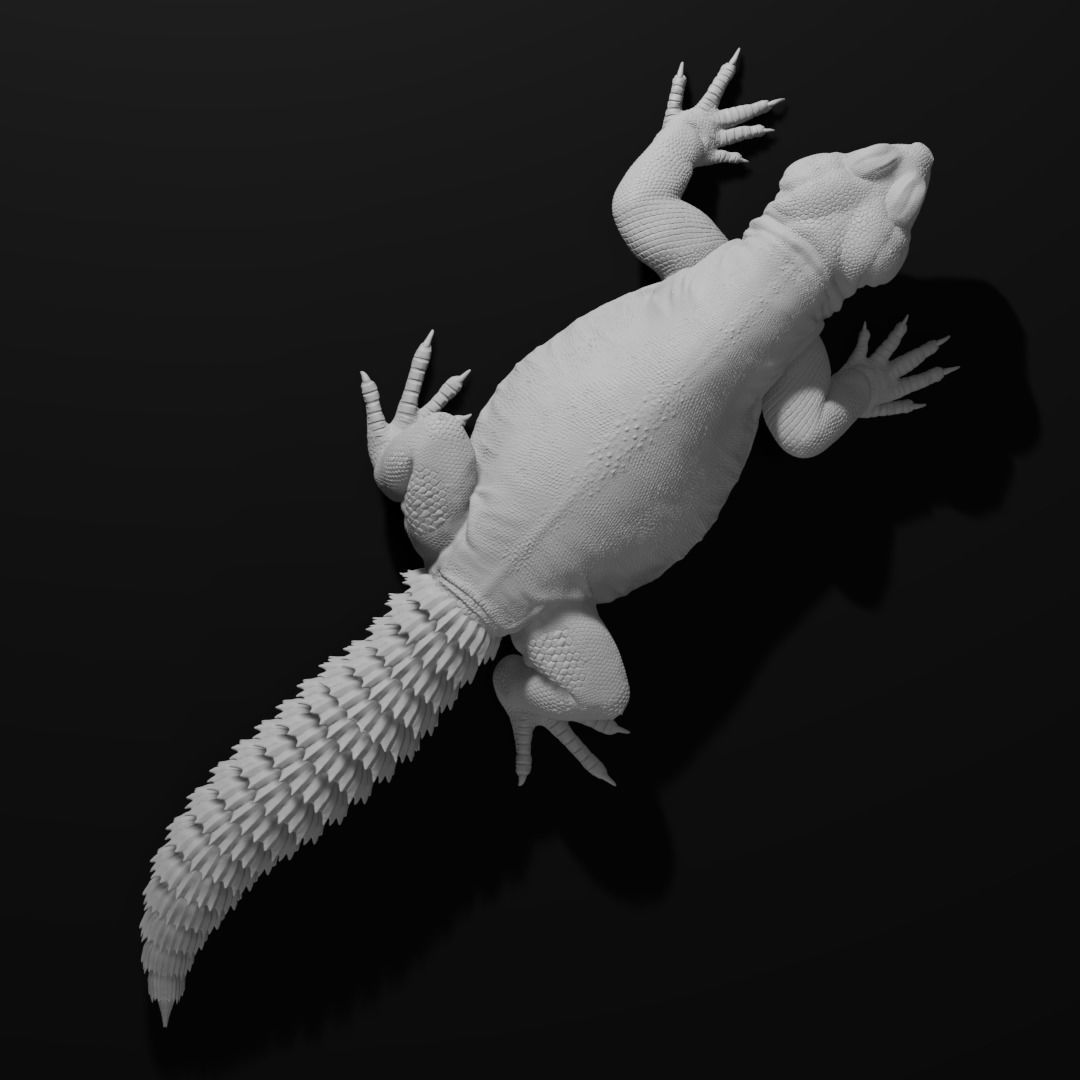 Uromastyx - Spiny Tailed Lizard - Pet Reptile 3d print model 3D print model_9