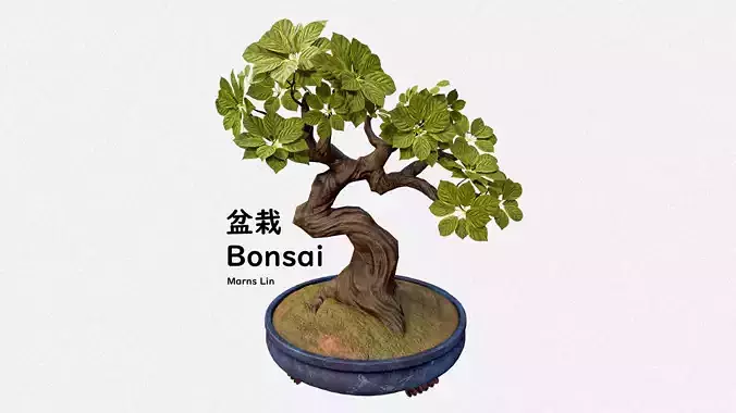 Japanese Bonsai Pot Plant