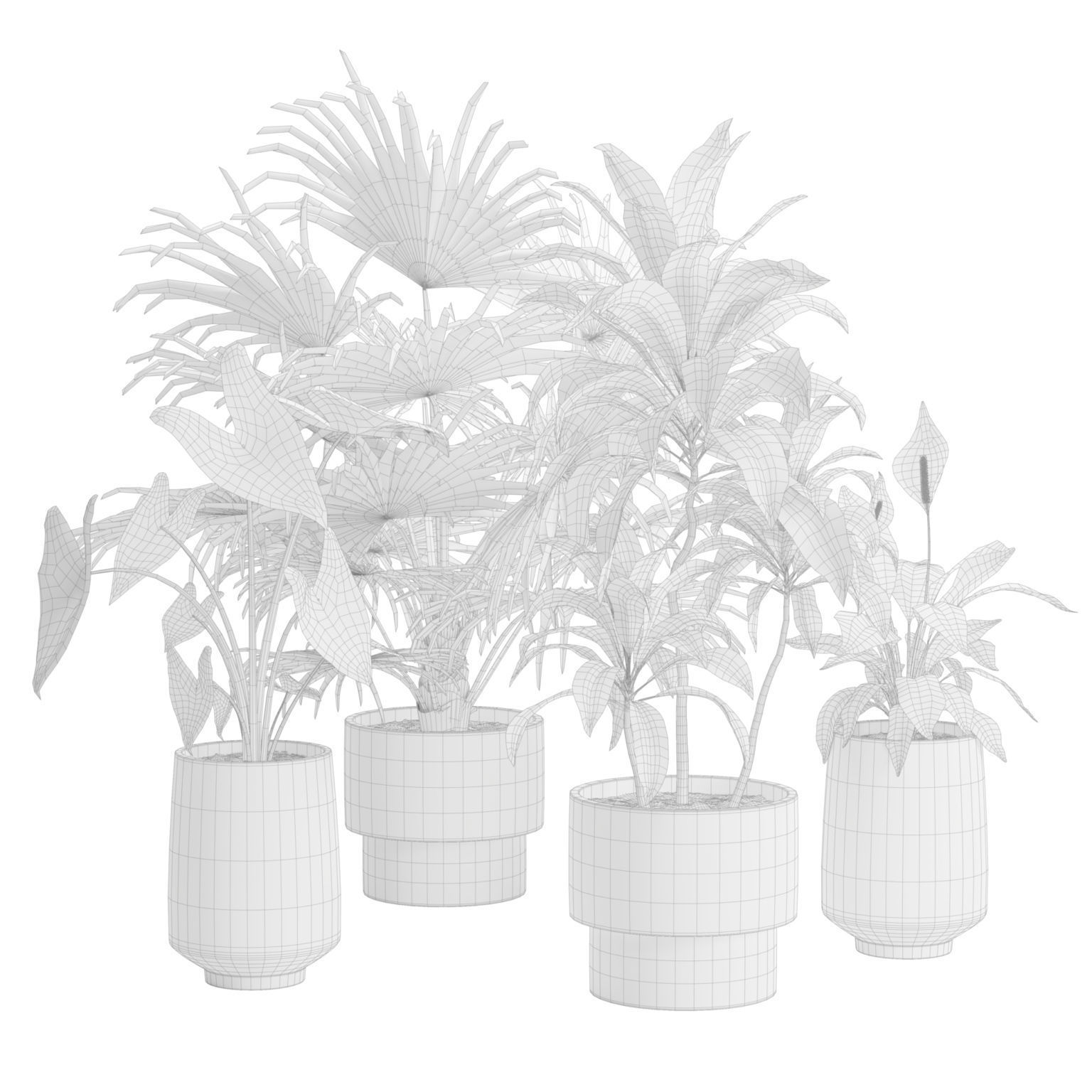 Indoor Plants Pack 44 3D model_2