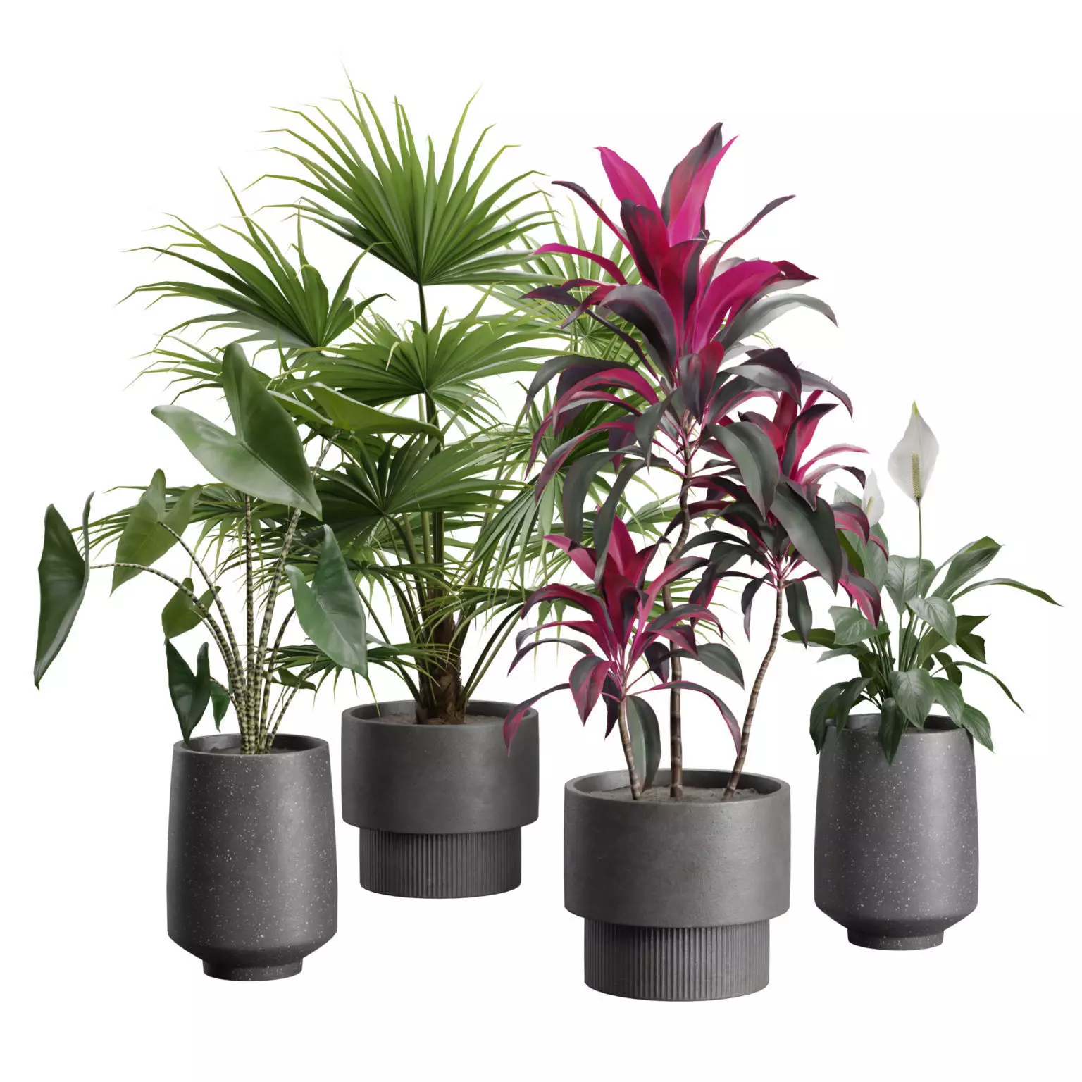 Indoor Plants Pack 44 3D model_0