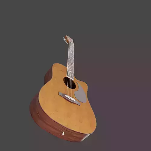 Guitar acoustic