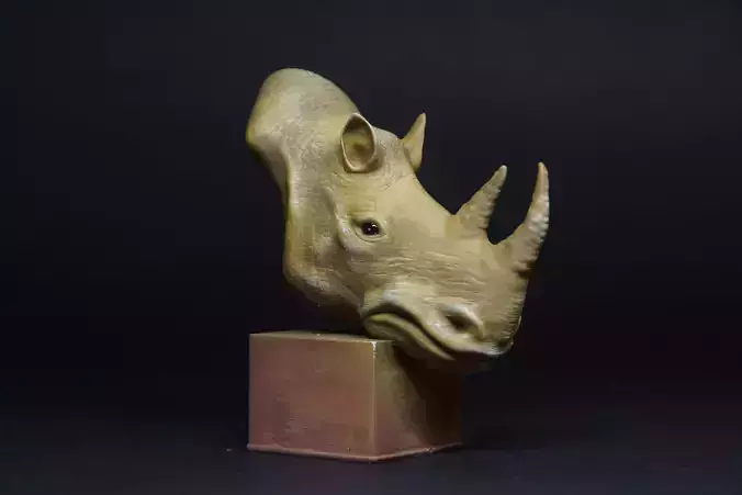 rhinoceros 3D print model head sculpture