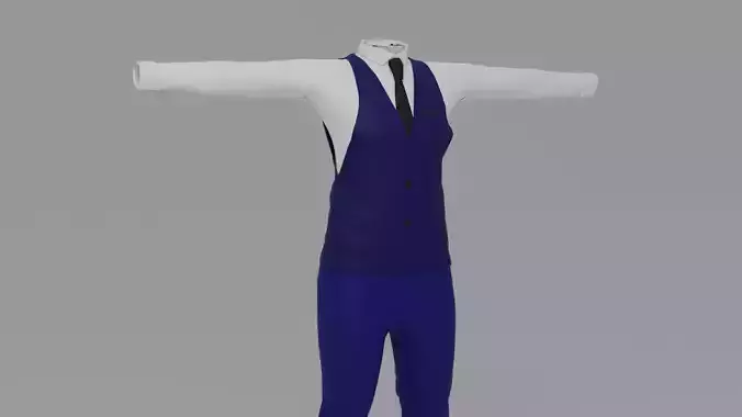 Air Stewardess Man Uniform