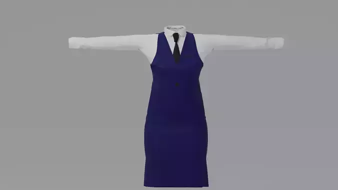 Air Stewardess Woman Uniform 