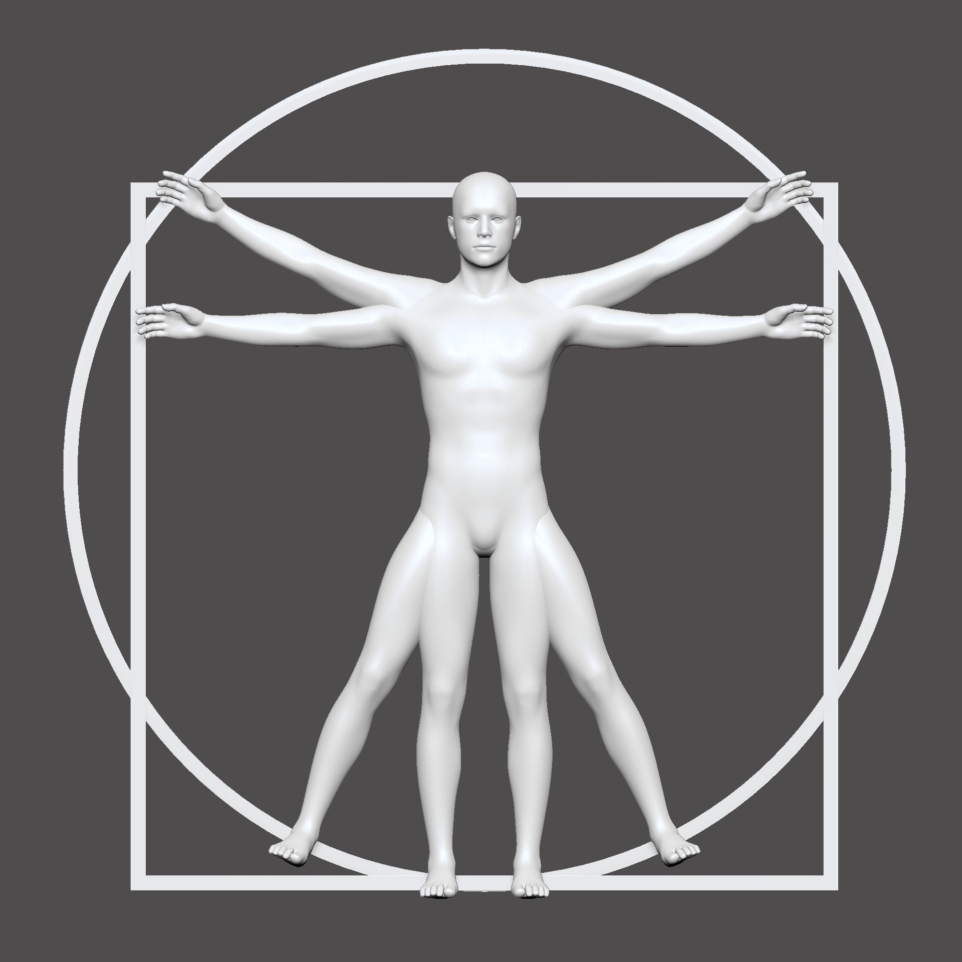 leonardo da vinci vitruvian man 3D model_3