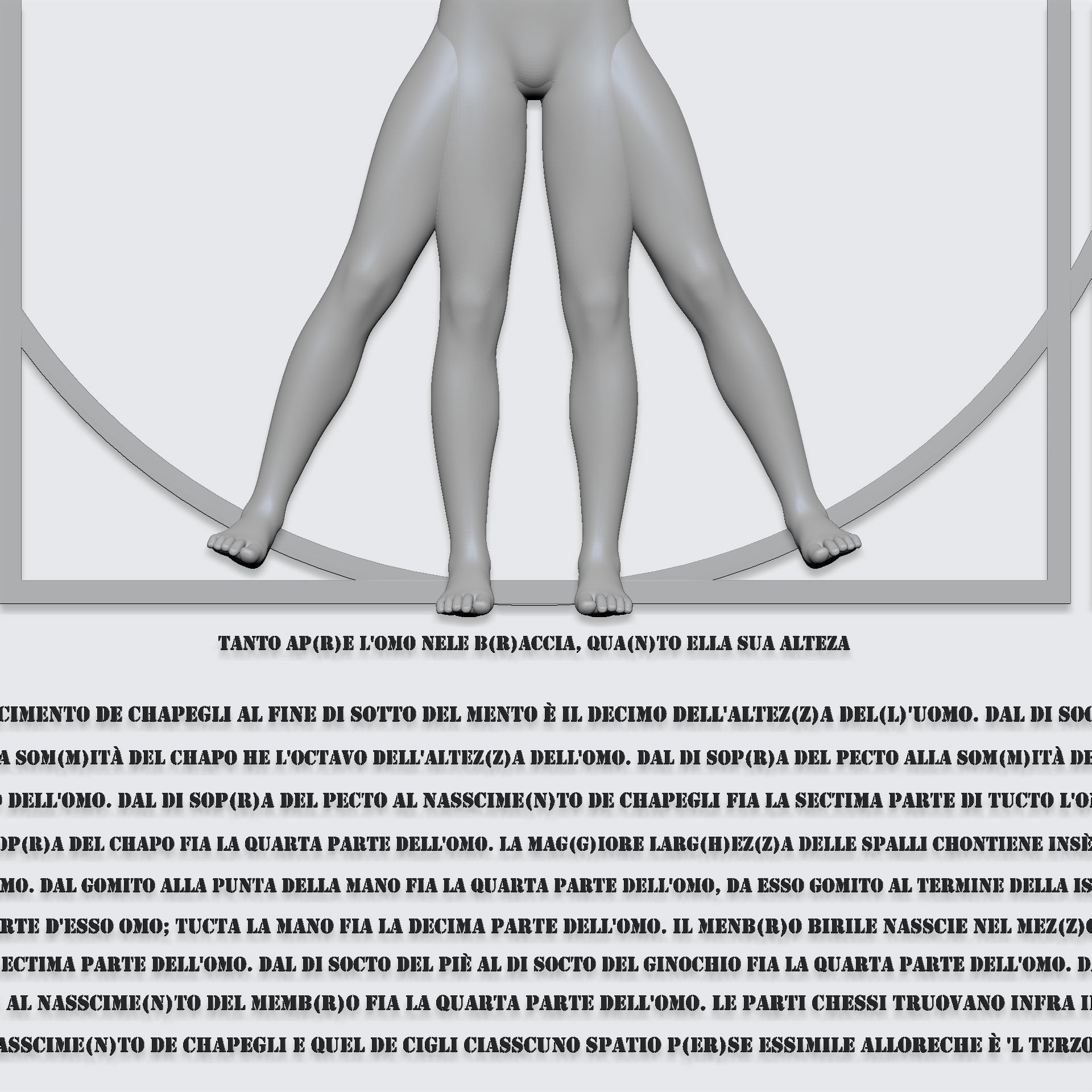 leonardo da vinci vitruvian man 3D model_2