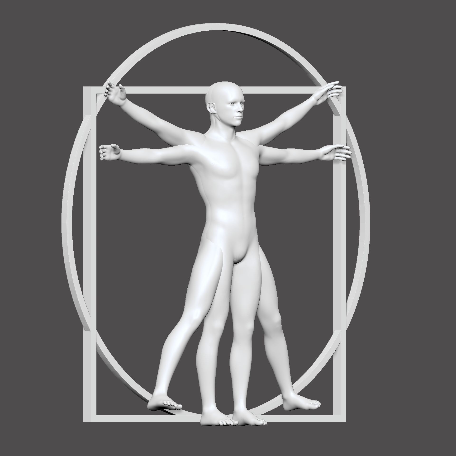 leonardo da vinci vitruvian man 3D model_4