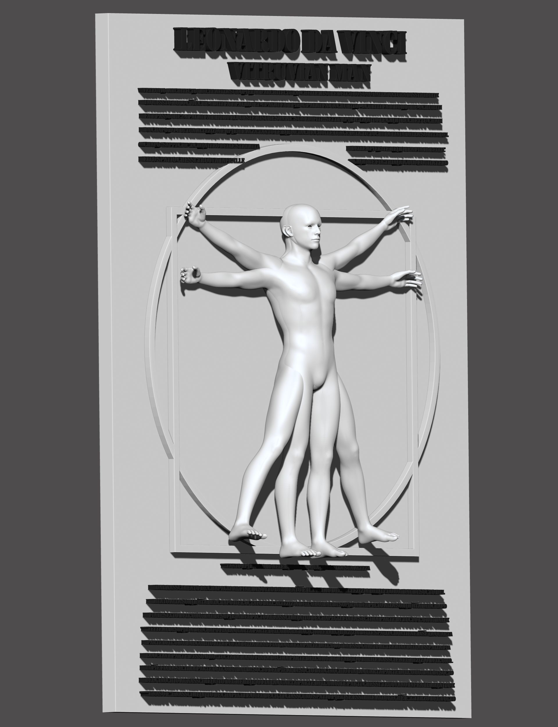 leonardo da vinci vitruvian man 3D model_5